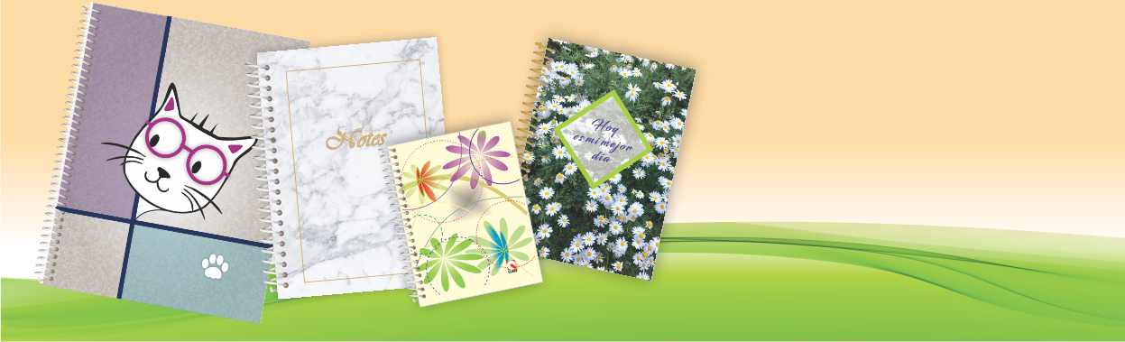 b cuadernos unicos